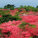 那須高原